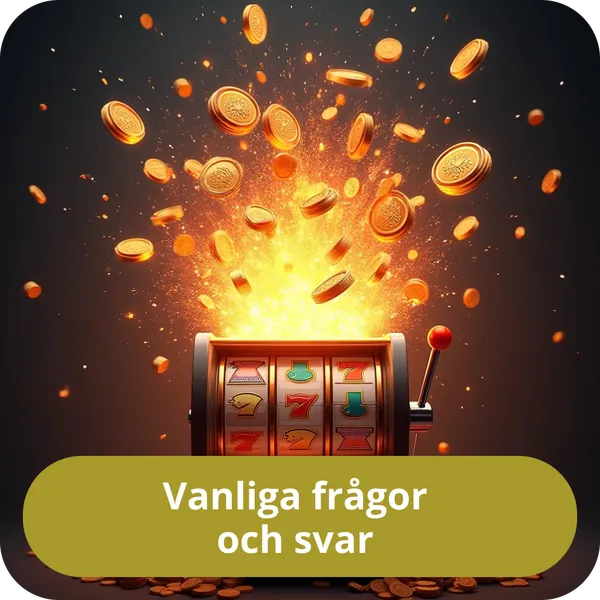 Vanliga frågor och svar